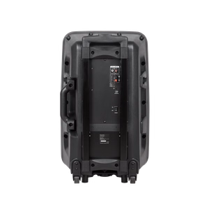 Aktiivikaiutin, 2 langatonta mikrofonia, SD, Bluetooth, USB, 12 tuumaa, 40 W