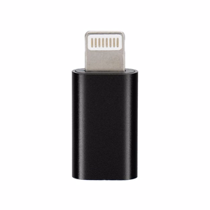 Adapter Type C to Lightning Blue Star - black