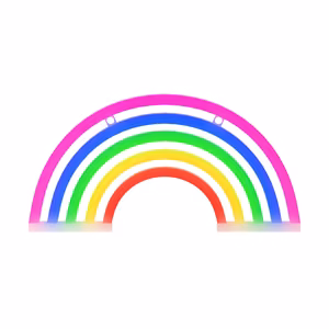 Forever Light Neon LED Light Rainbow 5 Colors FLNE14X