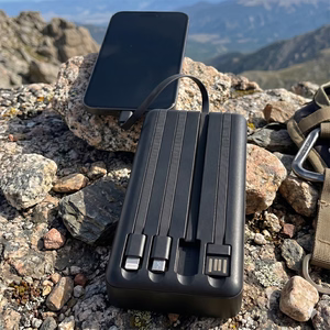 Setty solar power bank SLR-100 10000 mAh black