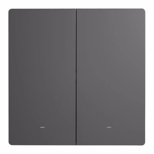 Smart Scene Wall Switch WiFi Sonoff M5 2C (2-channel)