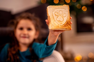 Paw Patrol voileipägrilli 750W