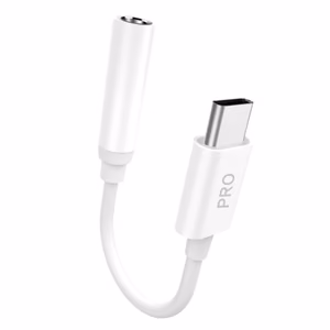 Dudao aanisovitin kuulokeadapteri USB Type C - mini jack 3.5 mm valkoinen (L16CPro white)