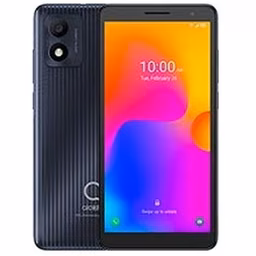 1B
