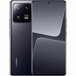 13 Pro