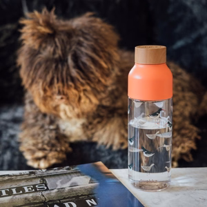 Quokka Ice Ecozen -juomapullo, 720 ml, Linnut