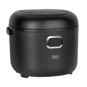 TEESA-matkakäyttöinen monitoimikeitin ja riisinkeitin, 2 l, 12–24 V / 230 V, 350 W