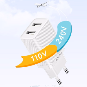 Charger Awei C15L-EU 10W 2xUSB-A + USB-A to Lightning cable 1.0m white