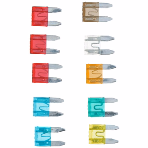 Dunlop automotive fuses, 10 pcs.