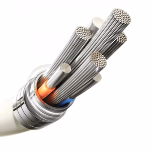 Joyroom S-A53 30W USB-C - Lightning -kaapeli fluoresoivalla kärjellä 2 m - beige