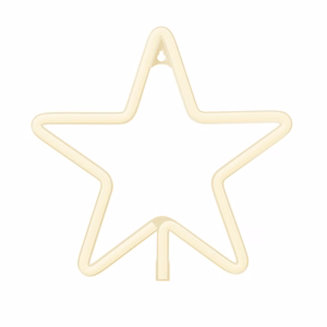 Neon LED CHRISTMAS PENTASTAR warm white FLNE22 Forever Light