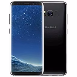 Galaxy S8+