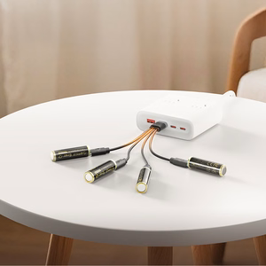 Orico Ener-G EG5C Lithium Battery 1.5V 2100mWh AA USB-C Rechargeable Battery with Charging Cable 2 pcs.