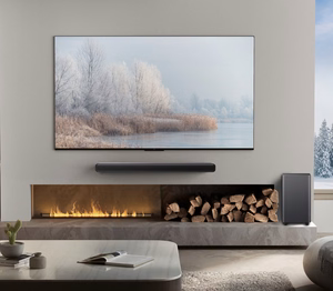 TCL S55HE soundbar-kaiutin