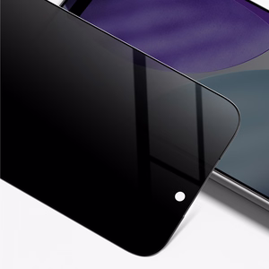 AmazingThing Radix Privacy Tempered Glass for iPhone 17 Pro