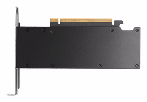 NVIDIA PNY RTX PRO 2000 Blackwell -näytönohjain, 16 GB GDDR7