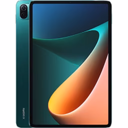 Pad 5