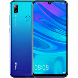 Y6s 2019