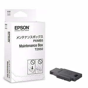 Epson C13T295000 hukkamustesäiliö, malleille WorkForce WF-100W