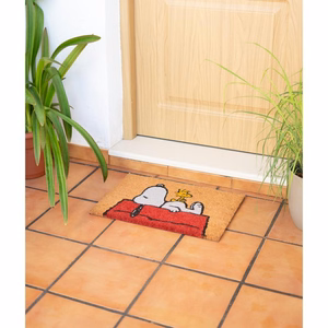 Snoopy-ovimatto