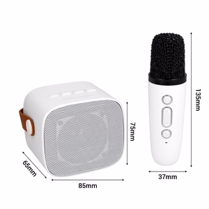 Blavec kannettava Bluetooth-kaiutin WS-07 Karaoke Party - 5 W kahdella mikrofonilla (WS07-2MW) valkoinen