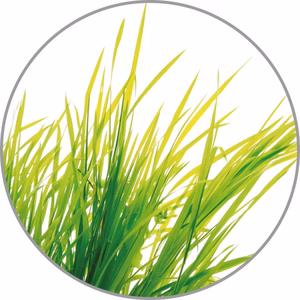 Medisana aromiesenssi Citronella