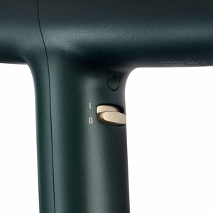 BaByliss Air Power Pro D6555DE – 1700 W ionisoiva hiustenkuivain, vihreä/kullanvärinen