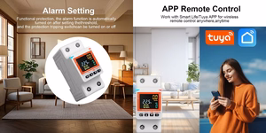 Smart Energy Sensor, 2P+N, 63A, Wi-Fi, Tuya