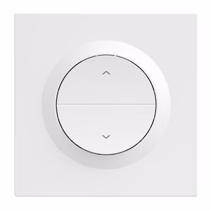 SONOFF MINI-ZBRBS-E ZigBee älykäs rullakaihdin-kytkin