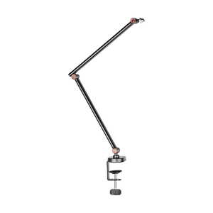 Desktop gaming microphone stand
