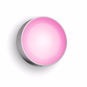Philips Hue WCA Daylo Outdoor Wall Lantern, Inox 15 W 2000-6500 Hue White Colour Ambiance