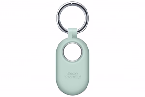 PT560CMEGWW SmartTag2 Silicone case with carabiner ring, Mint