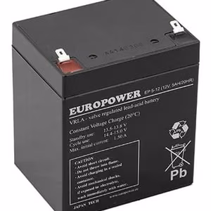 AKKU 12V 5AH VRLA/EP5-12T2 EUROPOWER EMU