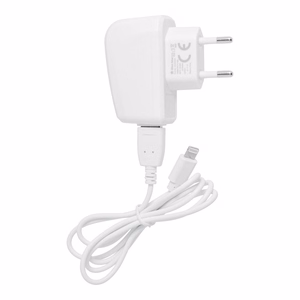 Phone charger Blue Star Lite USB A 1A 5W + cable USB A to Lightning TFK-TC-1095B white