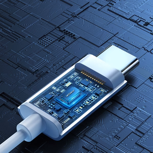 Joyroom JR-EC06 USB-C in-ear kuulokkeet - Hopeinen