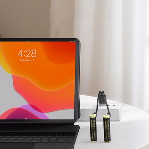 Orico Ener-G EG7C lithium battery 1.5V 500mWh AAA USB-C rechargeable battery 2 pcs.