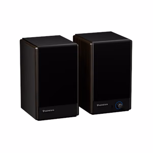 Genesis Arsen 402BT 2.0-kaiutinjärjestelmä, 60 W, Bluetooth, langaton yhteys, ruskea