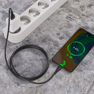 Borofone kaapeli BX51 Triumph - USB - Type-C - 3A 1 metri musta