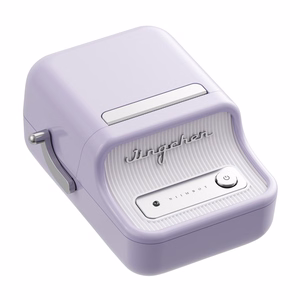 Niimbot B21 Pro Kannettava Tarratulostin (violetti)