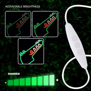 Neon PLEXI LED JURASSIC CROC green FLNJ03 Forever Light
