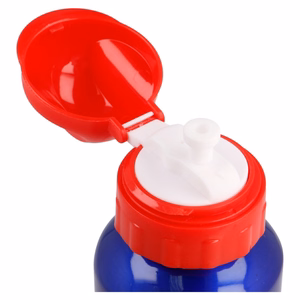 Mickey Mouse -juomapullo, 500 ml