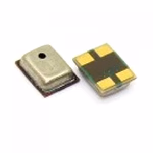 Microphone Compatible With Version Nr.21 (S/N 191)