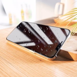 Borofone Tempered glass BF7 Diamond Armor Full Screen Anti-spy for Iphone 12 Pro Max - 10 pieces