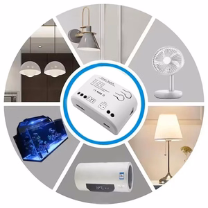 TUYA älykäs kytkin 1-kanavainen DIY Wi-Fi, RF, 10A, AC 85-250V