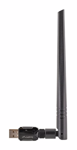 Lanberg NC-0900-WIE network card WLAN 600 Mbit/s