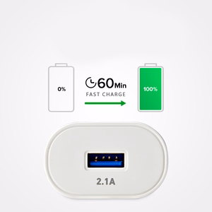 SBS TETR1USB2AWFAST 10W USB-A Wall Charger - White
