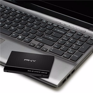 PNY CS900 250 GB 2.5" Serial ATA III 3D TLC