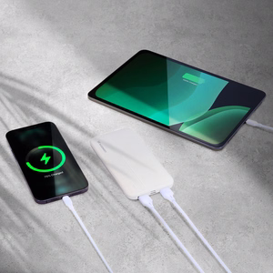 Wozinsky powerbank Li-Po 10000mAh 2 x USB valkoinen (WPBWE1)
