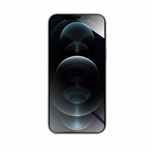 Hybrid glass to iPhone XS MAX / 11 PRO MAX Forcell Flexible 5D black