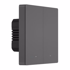 Sonoff M5 2C älykäs WiFi-seinäkytkin (2-kanavainen)